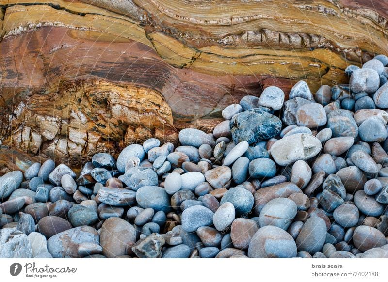 Sedimentary rocks texture Beach Ocean Science & Research Geology Geography Geologist Environment Nature Earth Coast Tourist Attraction Landmark Pebble Stone