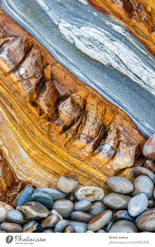 Sedimentary rocks texture Beach Ocean Wallpaper Education Science & Research Geology Profession Geologist Environment Nature Earth Rock Coast Stone Colour