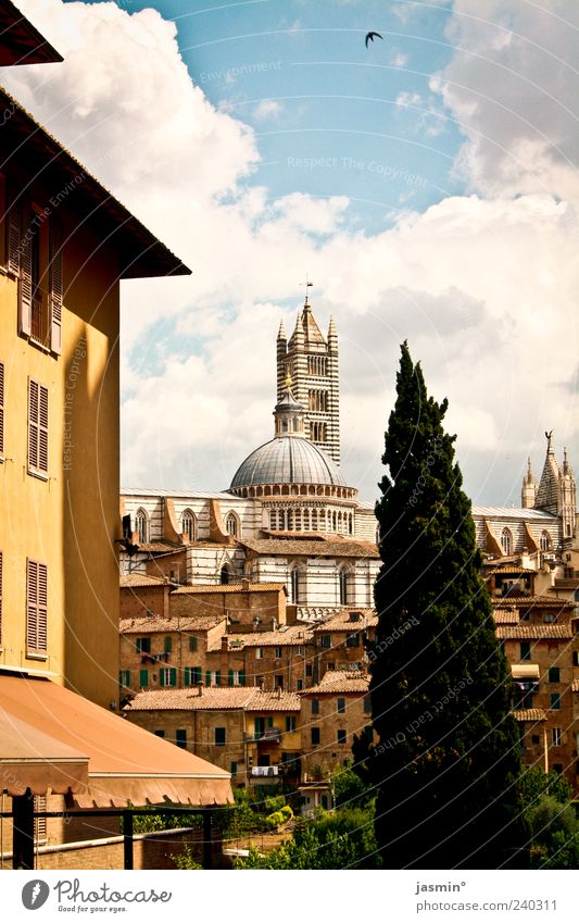 Siena Environment Landscape Sky Clouds Beautiful weather Plant Tree Town Skyline Dome Manmade structures Tourist Attraction Landmark Monument Vacation & Travel