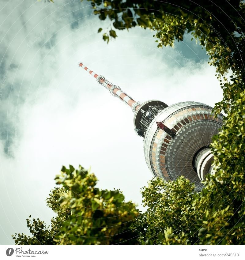 treetop Culture Environment Sky Clouds Weather Tree Leaf Capital city Tower Manmade structures Tourist Attraction Landmark Green Tourism Berlin Germany Europe