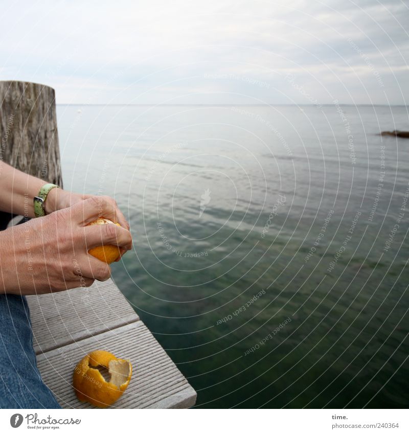 Last Supper Orange Ocean Human being Hand Fingers 1 Water Sky Horizon Baltic Sea Wood Molt Footbridge Bollard Tropical fruits Citrus fruits Food Fruit