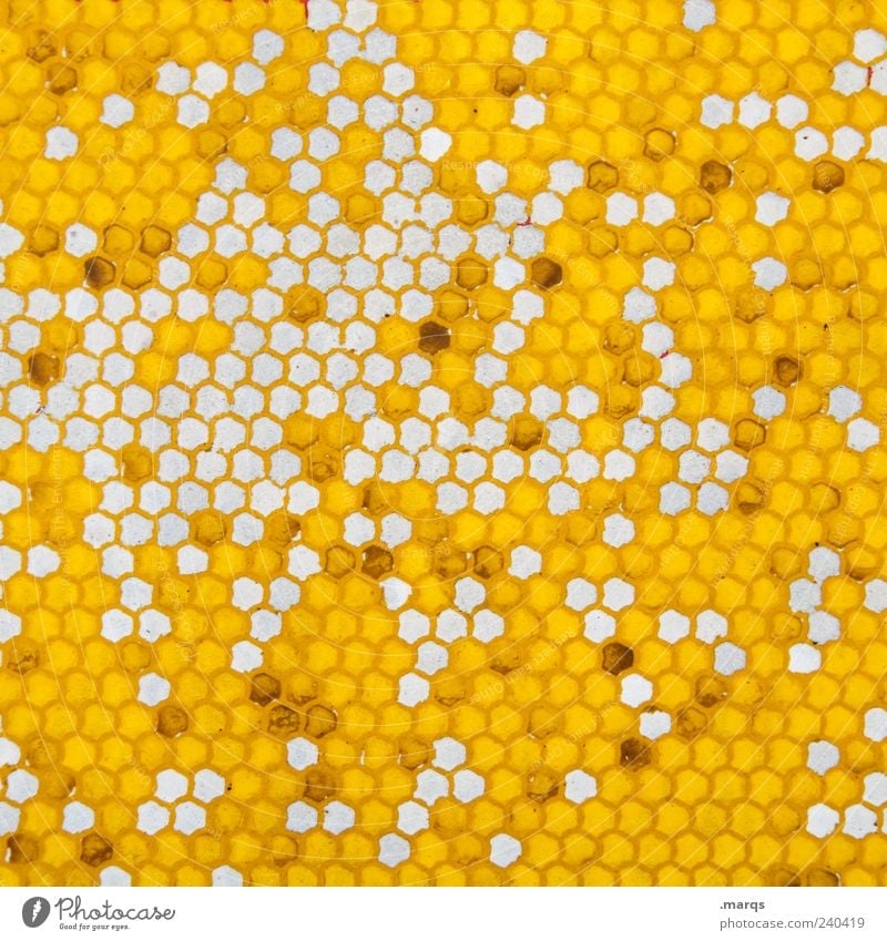 polygon Style Design Sign Honeycomb Honeycomb pattern Many Yellow Colour Arrangement Whimsical Colour photo Abstract Pattern Structures and shapes Deserted