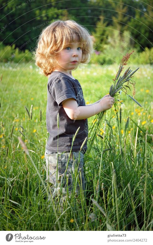 Seasons | Little boy on a spring meadow in May Child Toddler Boy (child) Infancy 1 Human being 3 - 8 years Nature Spring Beautiful weather Grass Wild plant
