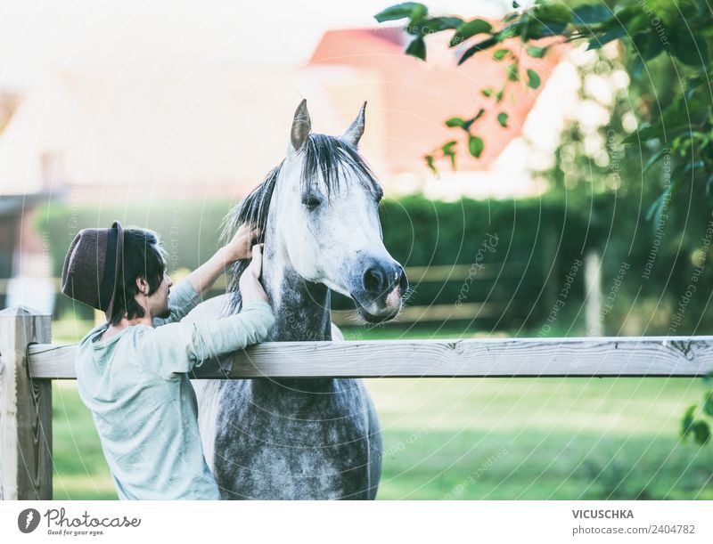 Thoroughbred Arabian horse enjoys crawling at the neck Lifestyle Vacation & Travel Summer Human being Masculine Young man Youth (Young adults) 18 - 30 years