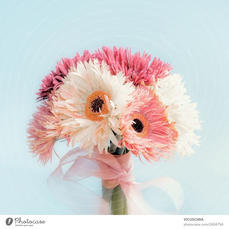Gerbera bouquet with bow Style Design Summer Feasts & Celebrations Valentine's Day Mother's Day Wedding Birthday Nature Plant Flower Leaf Blossom Decoration