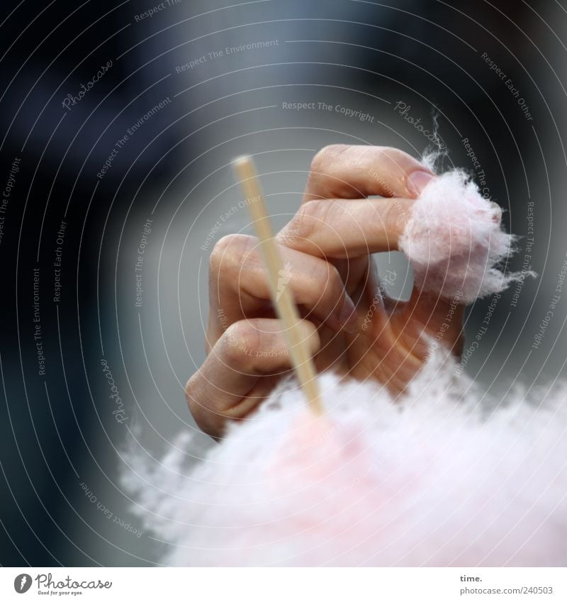 sweetie Candy Cotton candy Nutrition Hand Fingers Eating Infancy Rod Colour photo Exterior shot Detail Copy Space top Copy Space bottom Artificial light