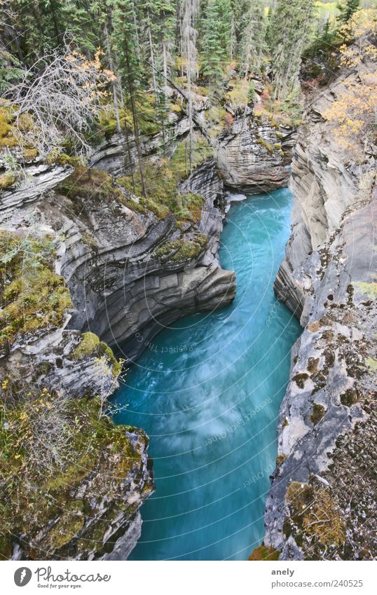 deep blue Expedition Canyon Rock River Blue Brook Canada Steep Stone Gray Wild Nature Beautiful Flow Impressive Environment Landscape Elements Water Esthetic