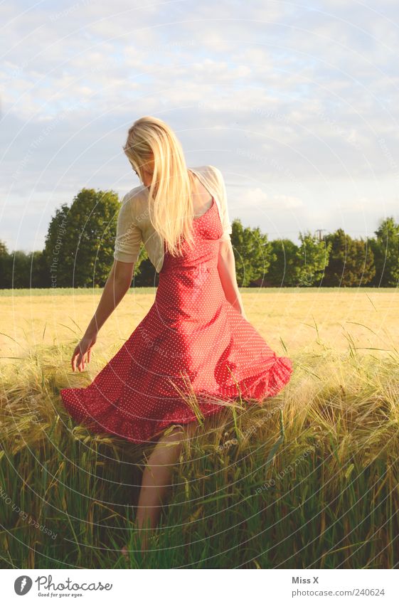 cornfield Human being Feminine Young woman Youth (Young adults) 1 18 - 30 years Adults Nature Sky Summer Grass Field Dress Hair and hairstyles Blonde