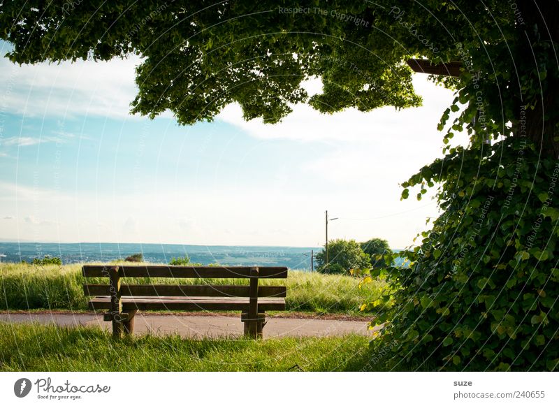 resting place Environment Nature Landscape Sky Horizon Summer Beautiful weather Tree Leaf Meadow Lanes & trails Authentic Green Idyll Break Bench Vantage point