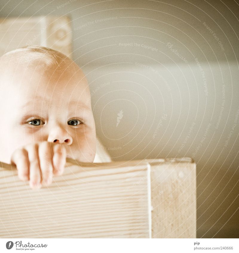 I'm awake from you again! Child Baby Head Eyes Hand 1 Human being Wood Looking Curiosity Crib Bed To hold on Alert Healthy Colour photo Subdued colour