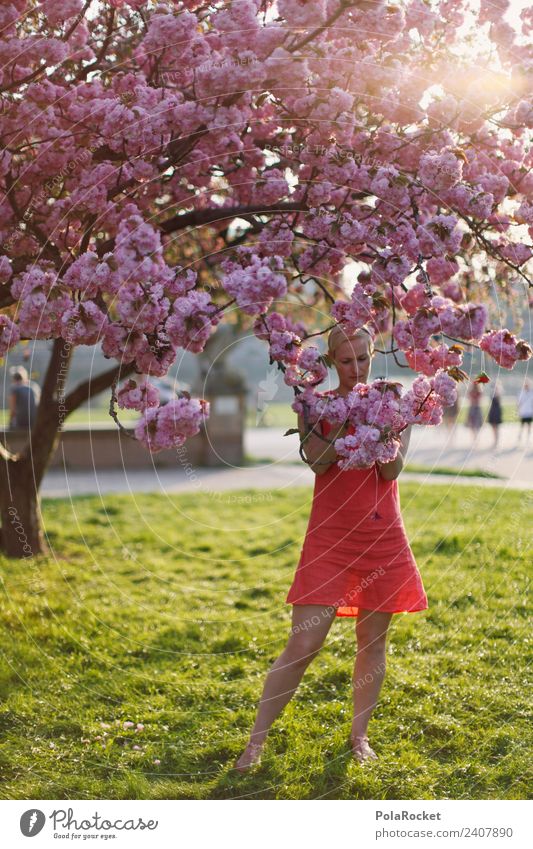 #A# Spring Blood Art Esthetic Nature Love of nature Experiencing nature Blossom Spring fever Spring day Spring colours Spring celebration Woman Exterior shot