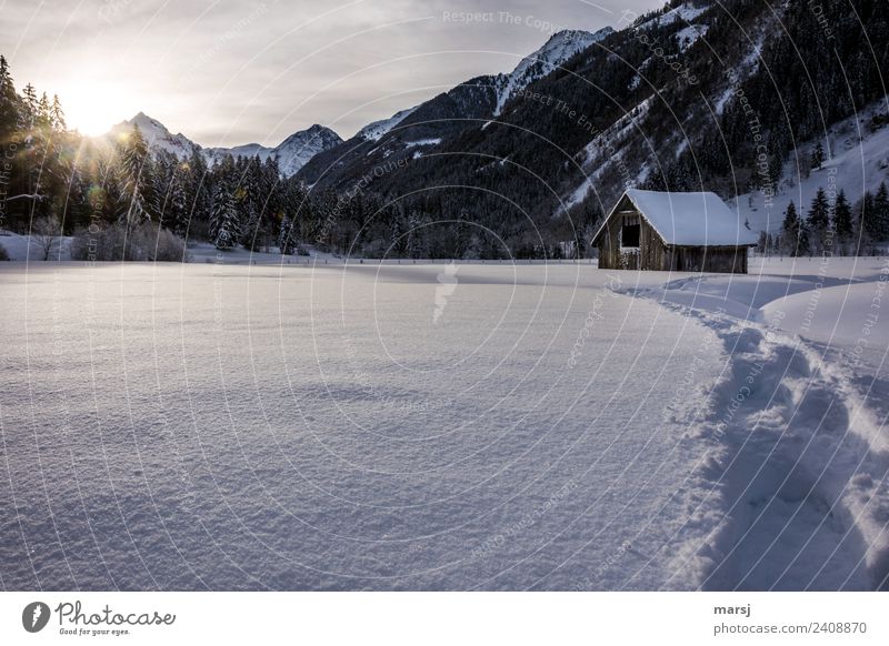 Another onset of winter | Wrong report Nature Landscape Winter Snow Alps Mountain Cold Tracks Hut Barn Hayrick Snowscape Idyll Cliche Colour photo