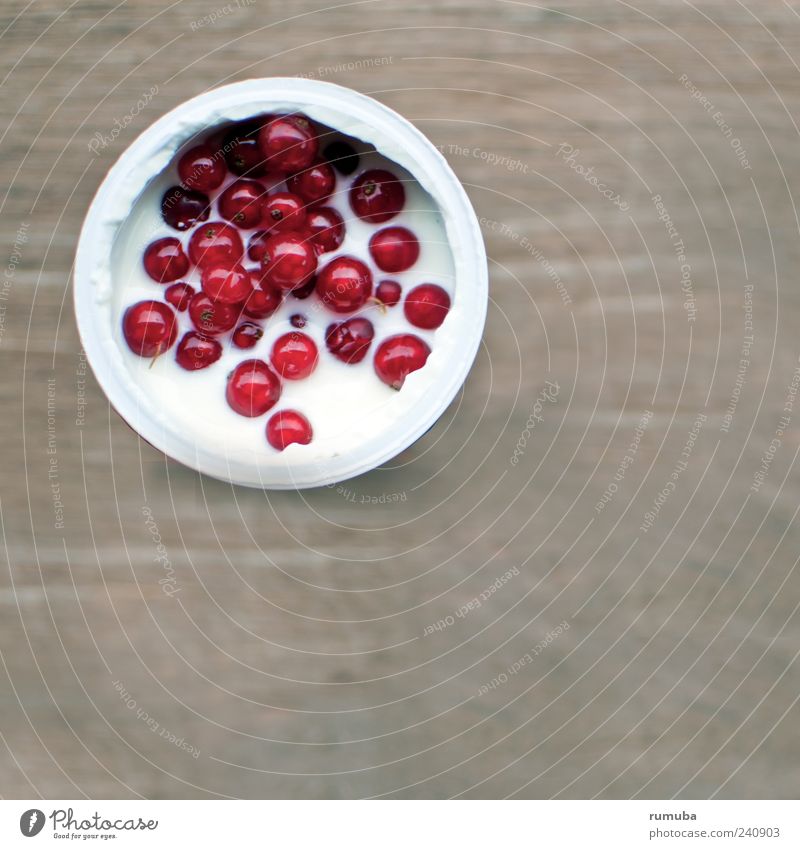 Yoghurt with currants Food Fruit Nutrition Organic produce Vegetarian diet Mug To enjoy Fresh Healthy Red White Redcurrant Colour photo Exterior shot Close-up