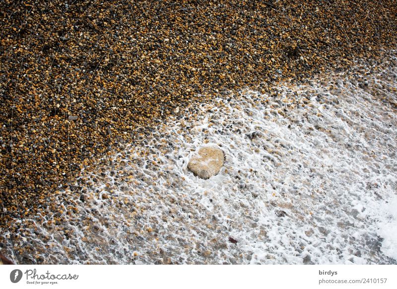 beach sequence Elements Water Coast Beach Ocean Movement Authentic Simple Fluid Natural Brown Yellow Gray White Nature Symmetry Change Foam Gravel beach Stone