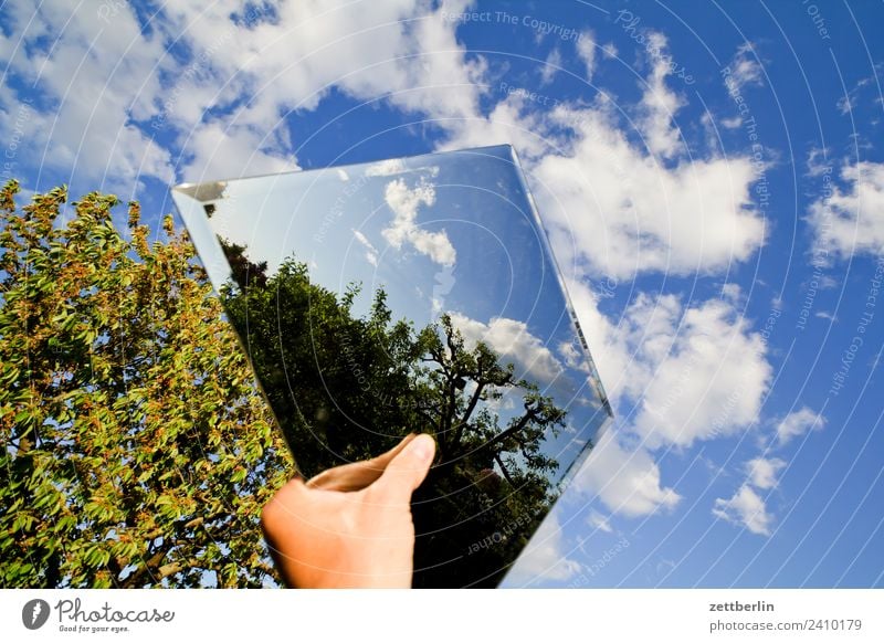 Mirrors in the sky Mirror image Reflection Hand To hold on Branch Tree Relaxation Garden Sky Heaven Garden plot Garden allotments Nature Plant Summer Copy Space