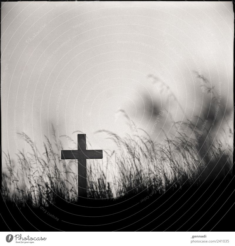 find peace Elements Earth Cloudless sky Grass Authentic Historic Crucifix Christianity Death Belief Holy Crucify Sadness Grief Grain Analog Frame Square End