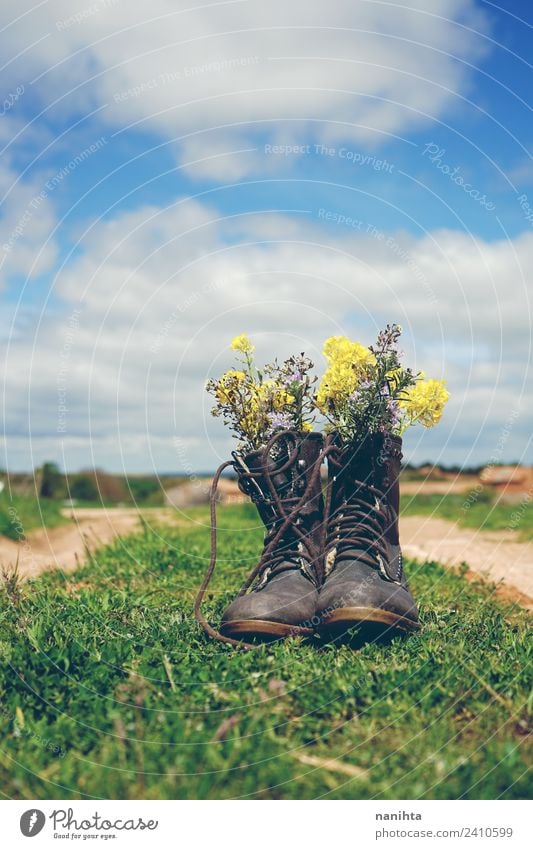 old boots filled with wild flowers outdoors Environment Nature Landscape Plant Sky Spring Summer Beautiful weather Flower Grass Foliage plant Wild plant