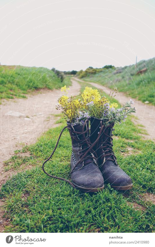 Boots filled with flowers in a rural path Style Design Environment Nature Landscape Plant Spring Summer Bad weather Storm Rain Flower Grass Wild plant Pot plant