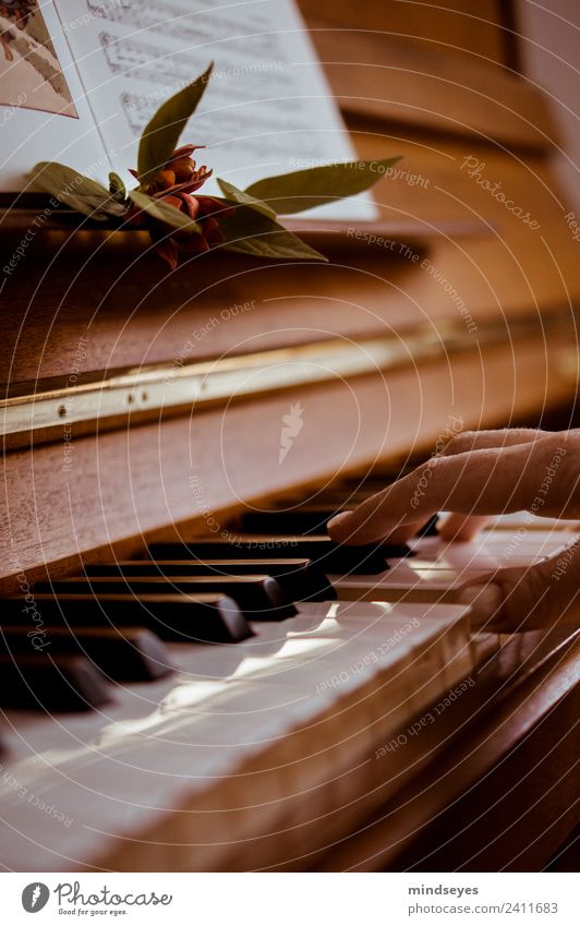 play the piano Hand Music Piano Playing Dream Esthetic Warmth Brown Gold Calm Make music Colour photo Interior shot Day Reflection Shallow depth of field