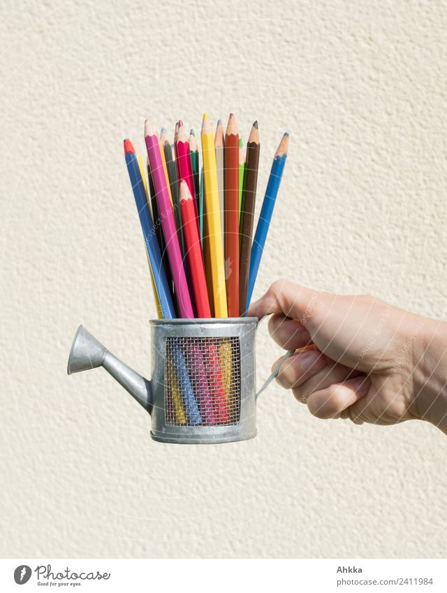 Variety, colourful pencils in a toy watering can Luxury Education Science & Research Adult Education School Study Academic studies Hand Stationery Pen