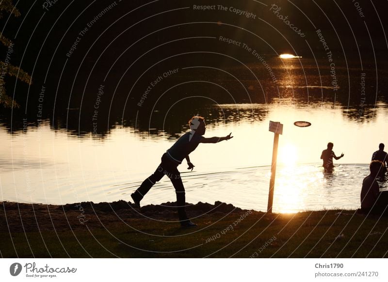 Frisbee with light and shadow Joy Leisure and hobbies Summer Beach Lake Human being 4 Water Sunrise Sunset Meadow Lakeside Swimming & Bathing Movement Flying