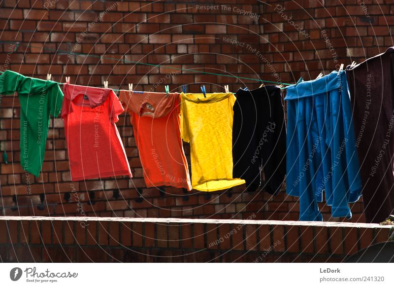 clothes line Living or residing Clothesline Populated Backyard Clothing T-shirt Sweater Brick Fragrance Cleaning Soft Blue Yellow Green Conscientiously Diligent