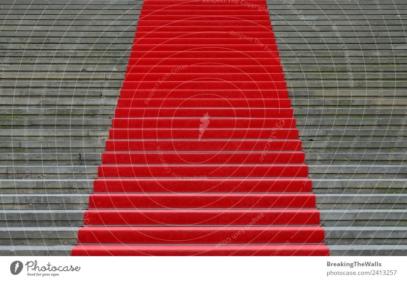 Close up red carpet over grey concrete staircase Design Feasts & Celebrations Town Manmade structures Building Architecture Stairs Stone Concrete Gray Red