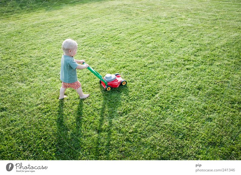 mow fast Lawnmower Masculine Child Toddler Arm Legs 1 Human being 1 - 3 years Grass Garden Meadow T-shirt Shorts Playing Small Funny Green Life Infancy