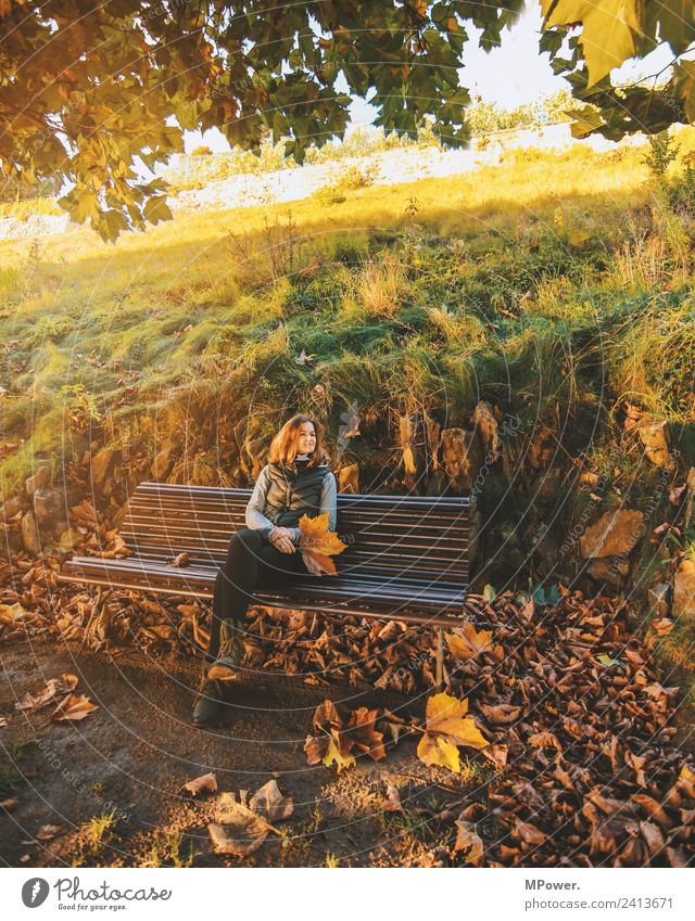 rest Human being Feminine Woman Adults 1 18 - 30 years Youth (Young adults) Environment Nature Park Sit Autumn Leaf Autumnal colours Relaxation Evening sun Tree