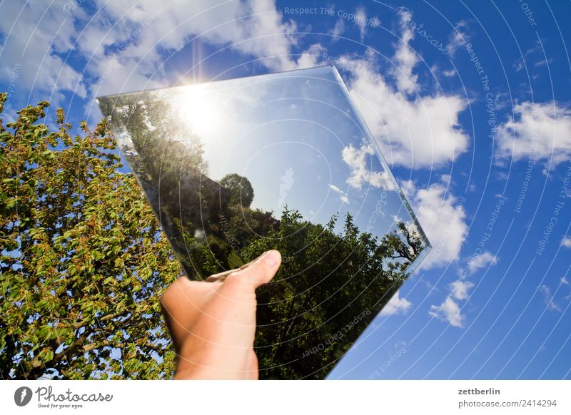 Another mirror in the sky Branch Tree Relaxation Garden Sky Heaven Nature Plant Garden plot Summer Copy Space Depth of field Mirror Mirror image Clouds Sun