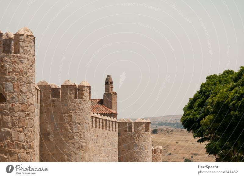 city walls Ávila Town Downtown Old town Tourist Attraction Landmark Stone Threat Historic Brown Watchfulness Unwavering City wall Castle tower Tower Merlon