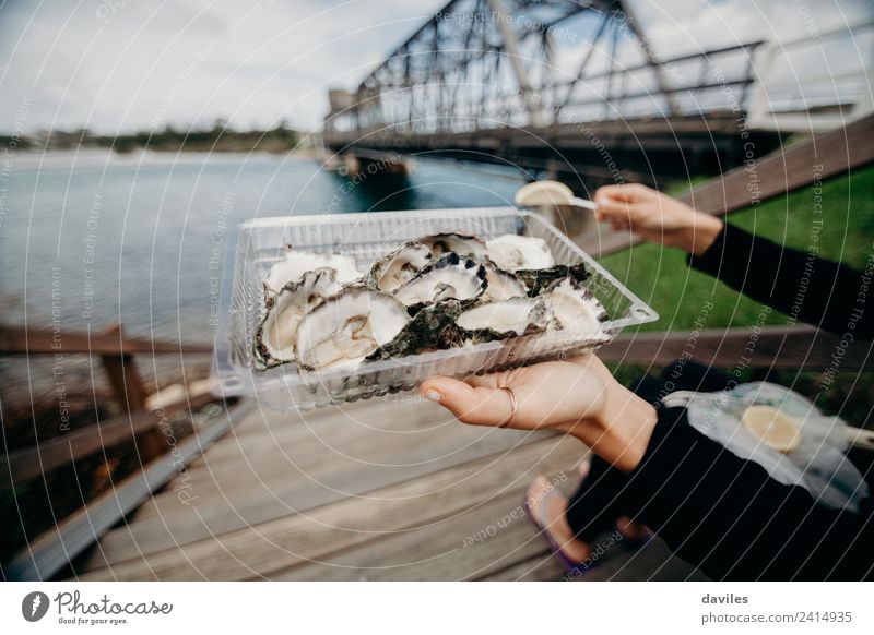 Oysters tray in a woman hand with a river and a bridge in the background. Food Seafood Lifestyle Style Vacation & Travel Tourism Woman Adults Hand 1 Human being
