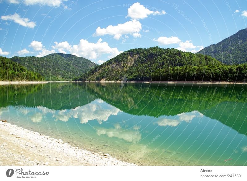mountains of mirrors Sky Lake Reservoir Clouds reflection Summer Forest Alps Esthetic Blue Green White Calm pretty Symmetry Lakeside Reflection Untouched