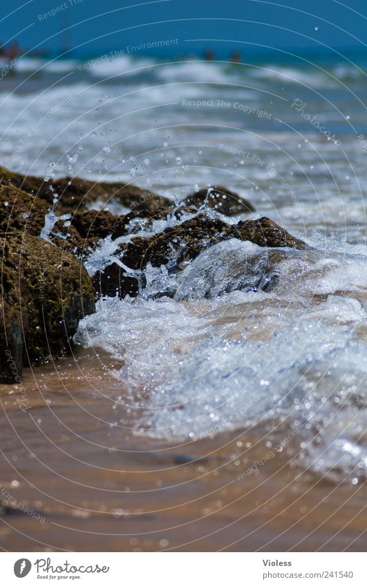 Splash again Nature Water Drops of water Beach Cold Wet vacation Waves Portugal Algarve gale Stone Colour photo Exterior shot Copy Space top Reflection Sunlight