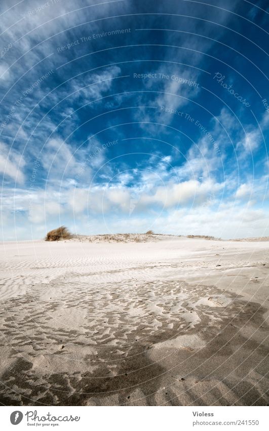 Spiekeroog there is no one Landscape Sand Sky Clouds Summer North Sea Relaxation Blue Island Vacation & Travel Walk on the beach Colour photo Exterior shot