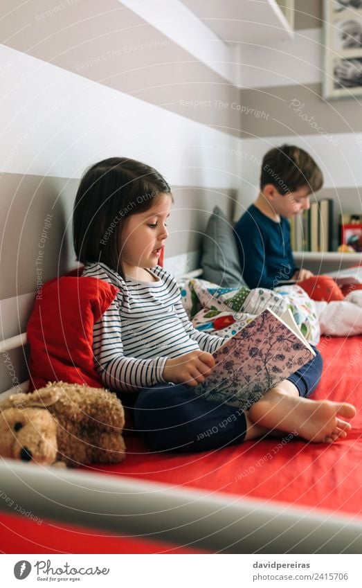 Girl and boy reading a book sitting on bed Lifestyle Beautiful Calm Reading Bedroom Child School Human being Boy (child) Woman Adults Man Sister