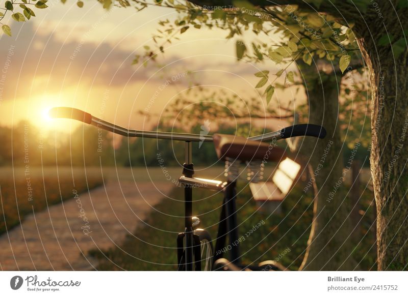Bicycle in the evening sun Vacation & Travel Trip Summer Sun Sports Cycling Nature Landscape Sunrise Sunset Sunlight Tree Garden Simple Near Retro
