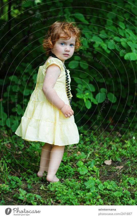 little fairy Child Girl 1 Human being 1 - 3 years Toddler Nature Grass Bushes Garden Park Dress Yellow Green Beginning Uniqueness Mysterious Inspiration