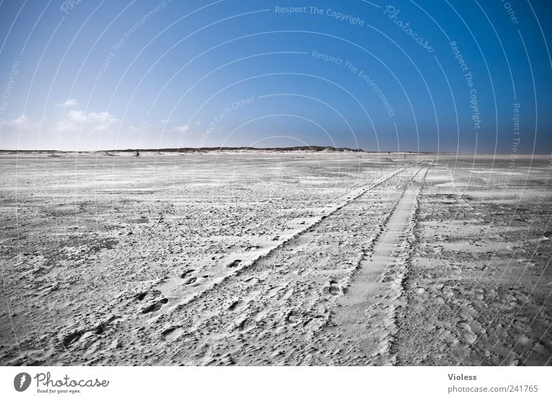 Spiekeroog long way to.... Nature Landscape Sand Sky Beach North Sea Island Relaxation Blue Tracks Freedom infinitely Colour photo Exterior shot Copy Space top