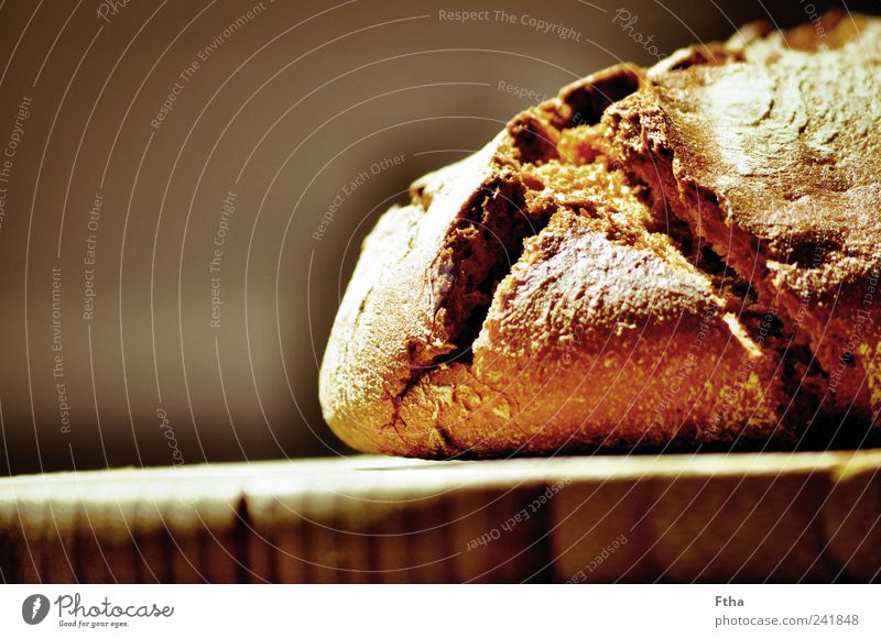 Crusty Food Bread Healthy Delicious rye bread Crusted bread Crisp Flour Baked goods Colour photo Interior shot Close-up Copy Space left Neutral Background