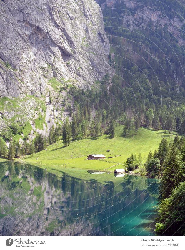 The Fischunkelalm on the shores of the Obersee in the Alps. A treat for the senses when the weather is nice. Vacation & Travel Tourism Far-off places Summer