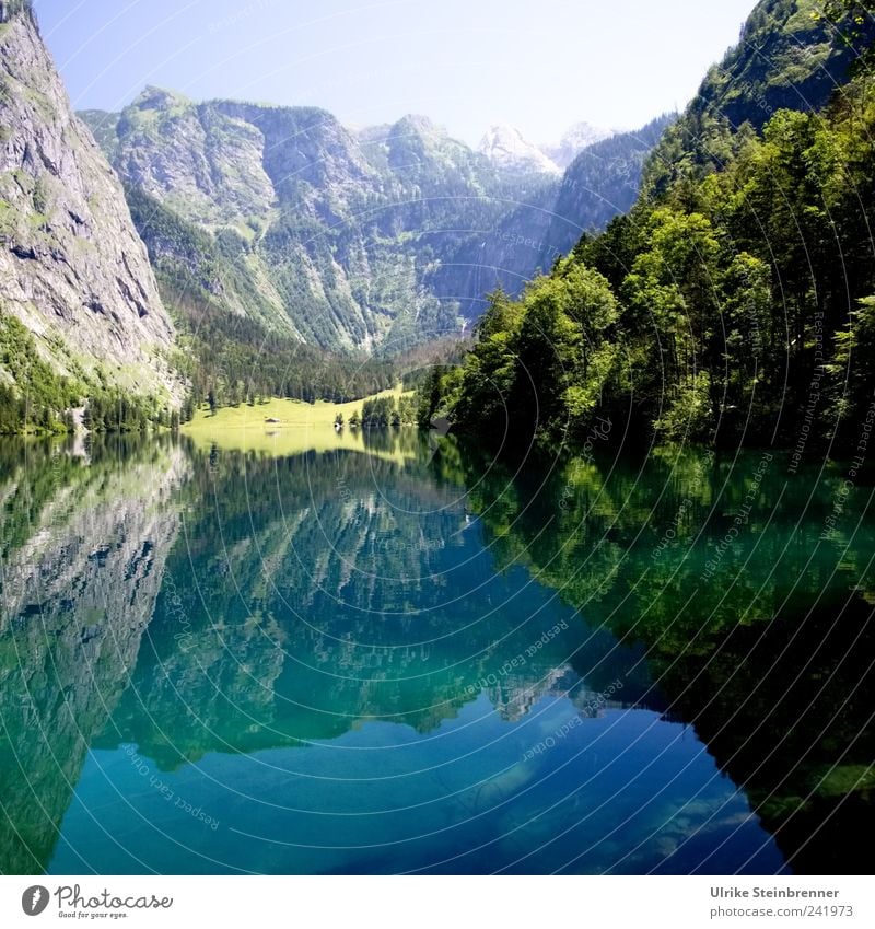 Watermirror Environment Nature Landscape Plant Elements Earth Air Sky Sunlight Summer Beautiful weather Tree Flower Bushes Rock Alps Mountain Steinernes Meer