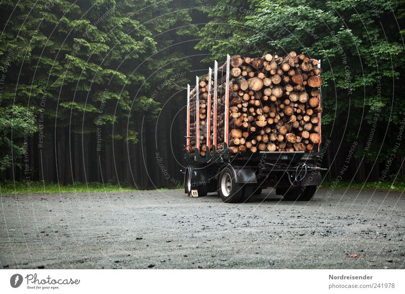 wood Work and employment Profession Agriculture Forestry Renewable energy Energy crisis Environment Nature Plant Transport Lanes & trails Truck Trailer Wood