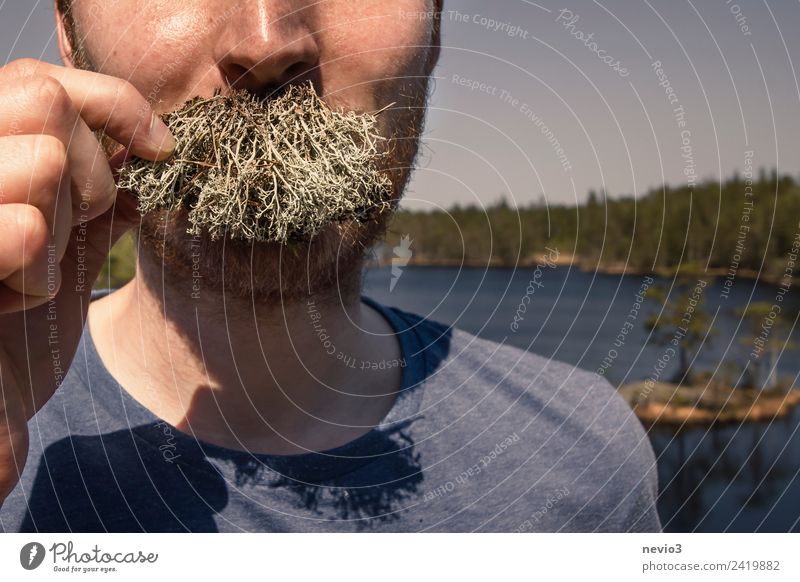 The beard lichens Human being Masculine Young man Youth (Young adults) Adults Head Facial hair 1 Environment Nature Landscape Plant Forest Adventure Uniqueness