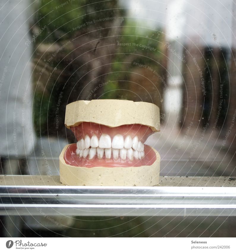 say cheese Dentist Human being Mouth Teeth Plastic Smiling Funny Near White Shop window Colour photo Copy Space top Shallow depth of field