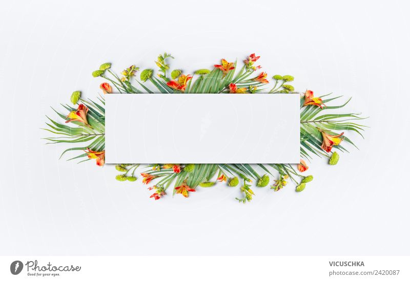 Frame with tropical palm leaves and flowers Style Design Vacation & Travel Summer Nature Plant Flower Leaf Blossom Flag Hip & trendy Background picture Hipster