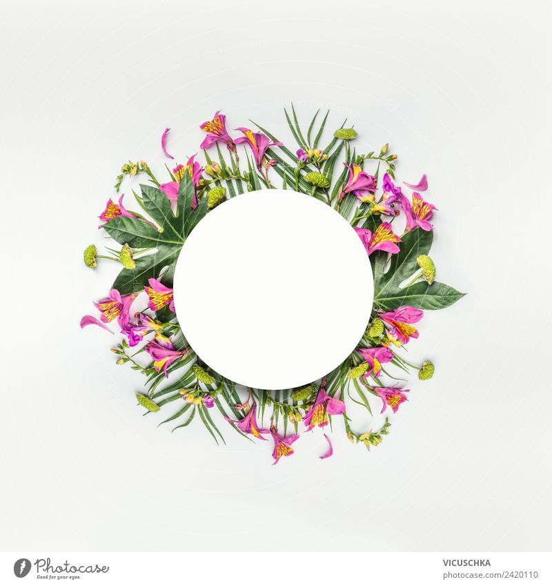 Round frames with tropical flowers and leaves Style Design Exotic Vacation & Travel Summer Party Nature Plant Flower Fern Leaf Blossom Decoration Bouquet