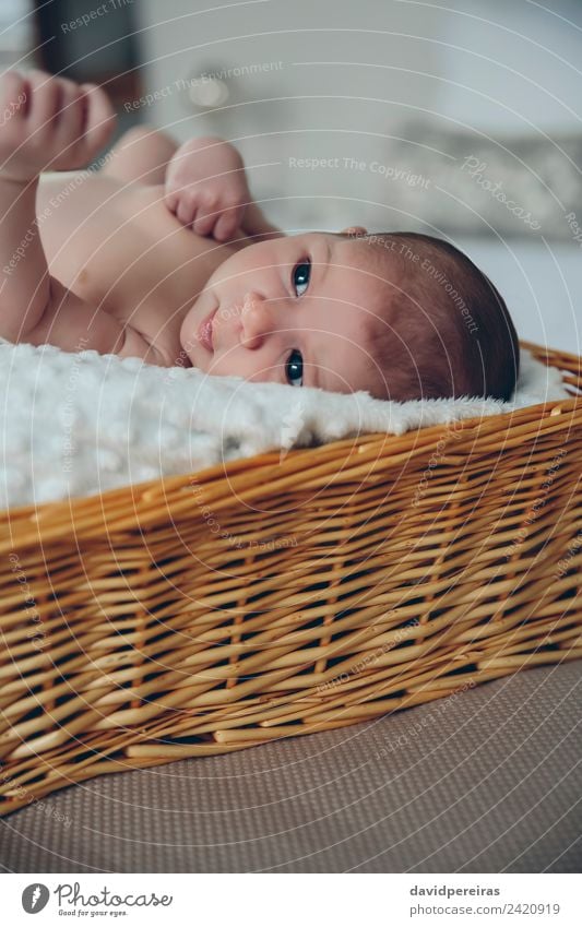 Baby lying in a wicker basket Beautiful Skin Life Calm Bedroom Child Human being Woman Adults Infancy Authentic Small Naked New Cute Innocent Basket awake kid
