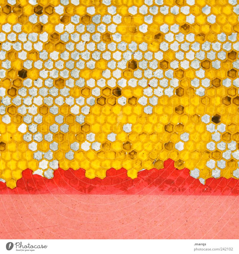 bee Style Design Sign Honey-comb Honeycomb pattern Many Yellow Pink Colour Arrangement Whimsical Colour photo Multicoloured Detail Abstract Pattern