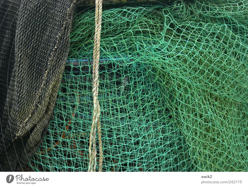 Ropes and nets Authentic Simple Infinity Uniqueness Near naturally Many Gray Green Fishery Net Fishing net Dew Colour photo Exterior shot Close-up Detail